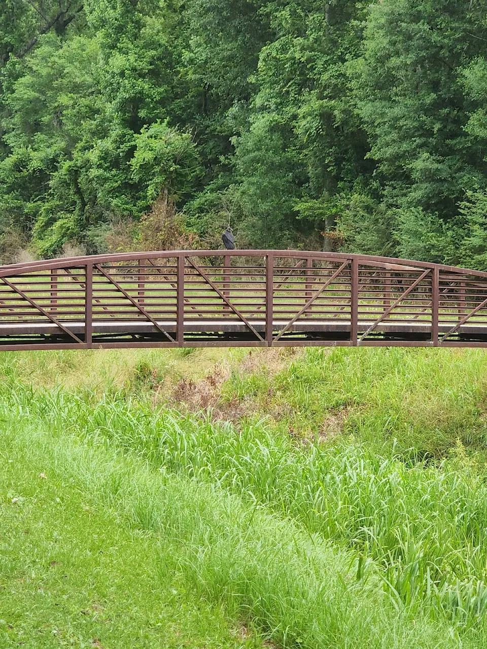 Sawmill Branch Trail - E. Richardson Ave. Trailhead