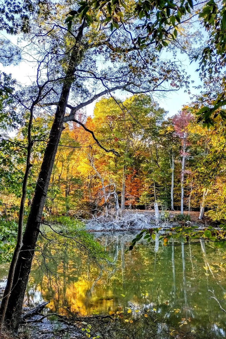 Pickering Creek Audubon Center