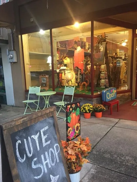 Eclectic Calico