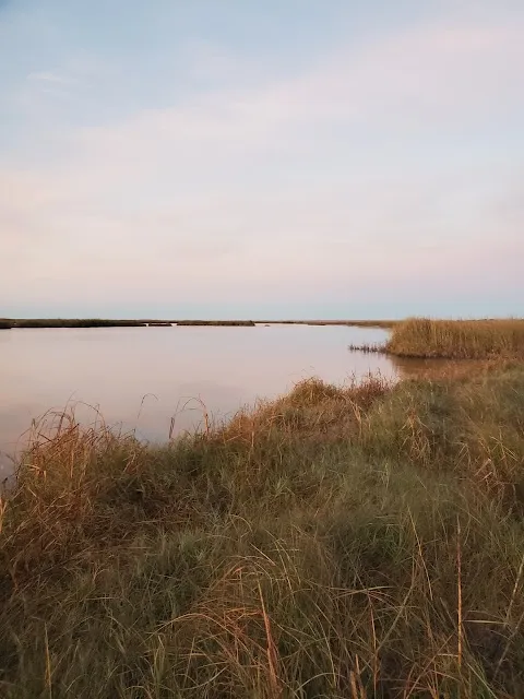 Texas Point National Wildlife Refuge