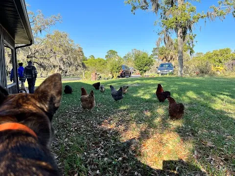 The Hivery And Potager At Heaven On Earth Ranch
