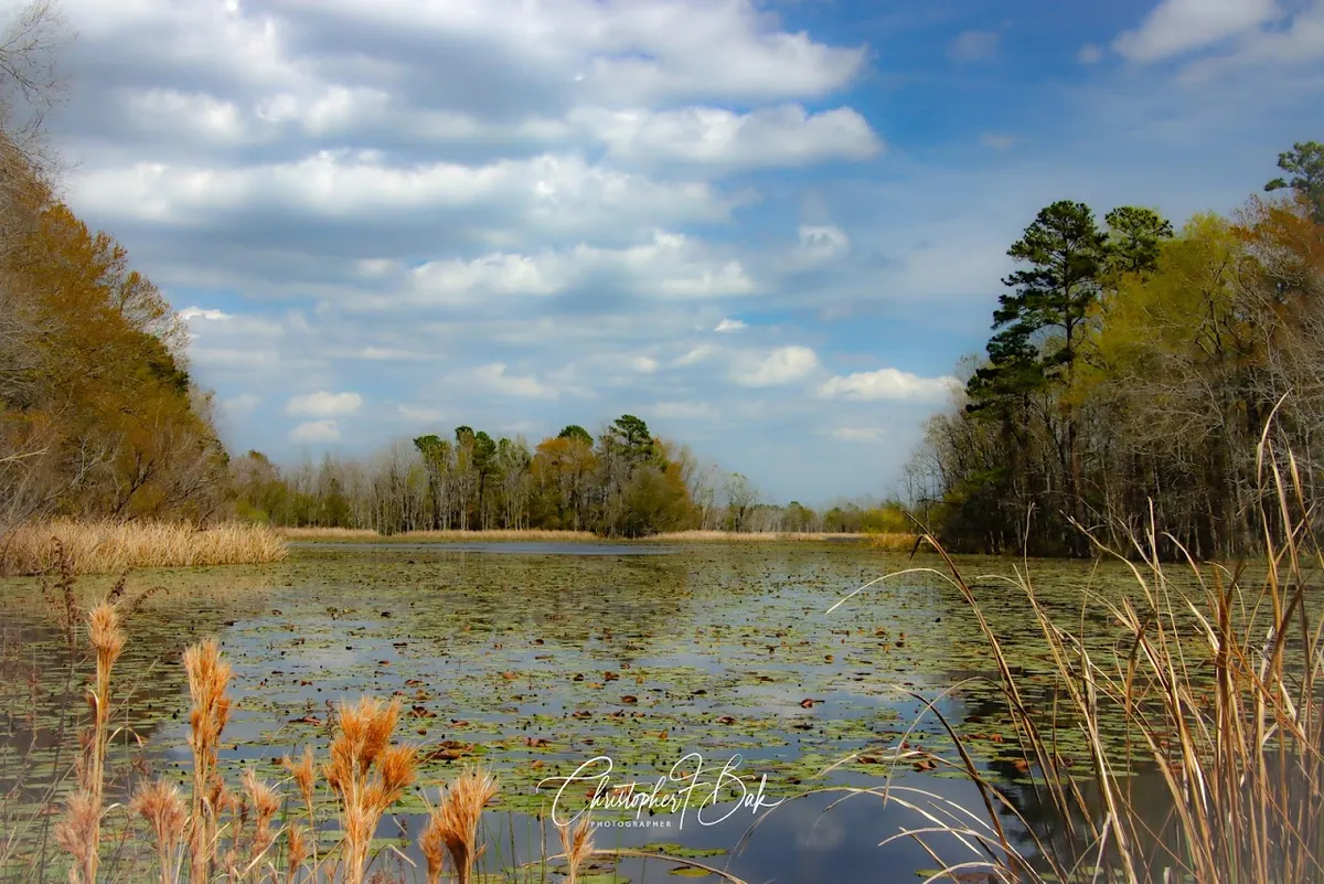 Santee National Wildlife Refuge - Cuddo Unit