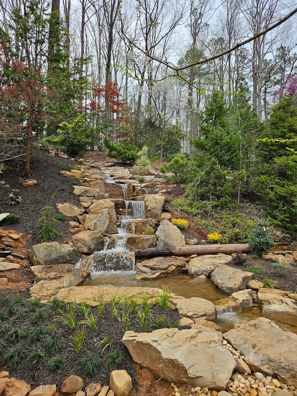 Cox Arboretum and Gardens