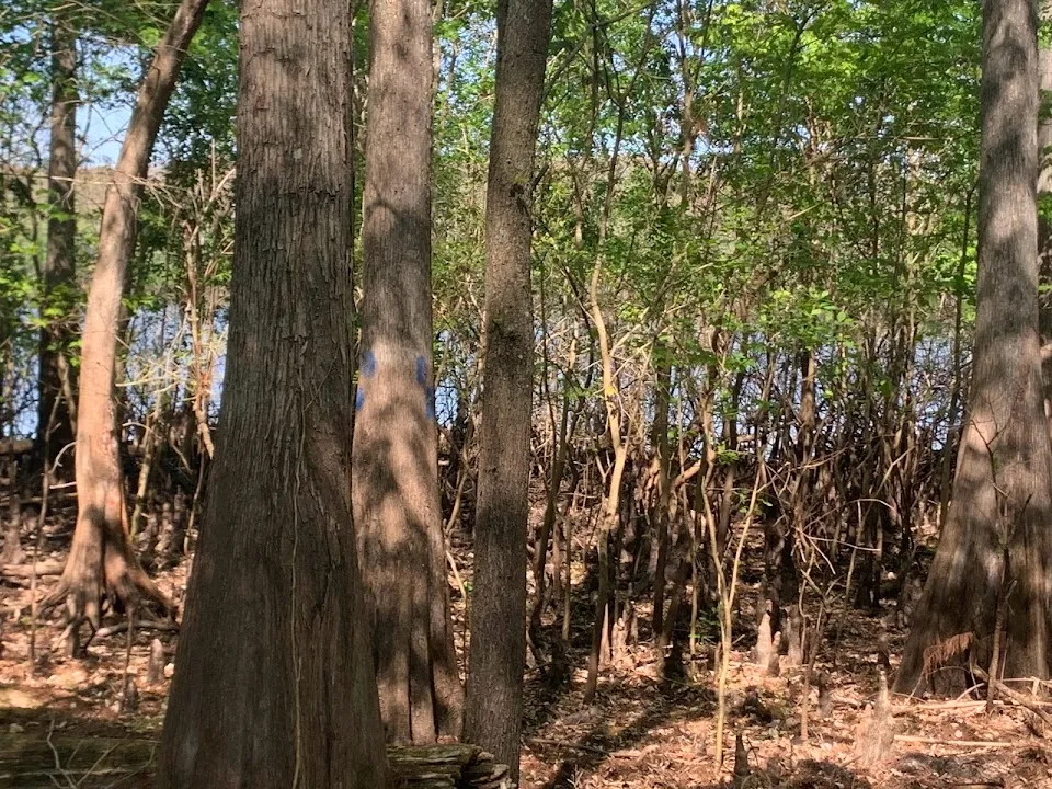 Silver Lake Campground