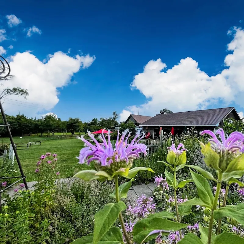 Applewood Winery