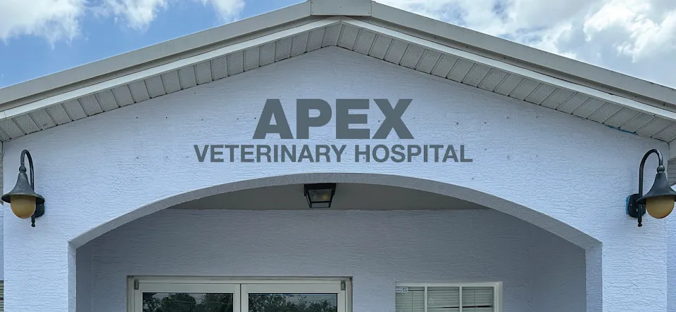 Apex Veterinary Hospital