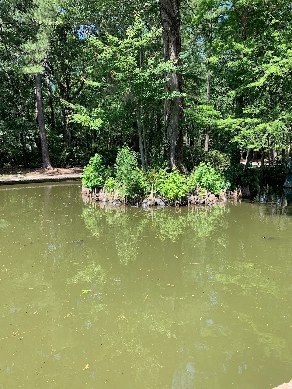 Turtle Pond