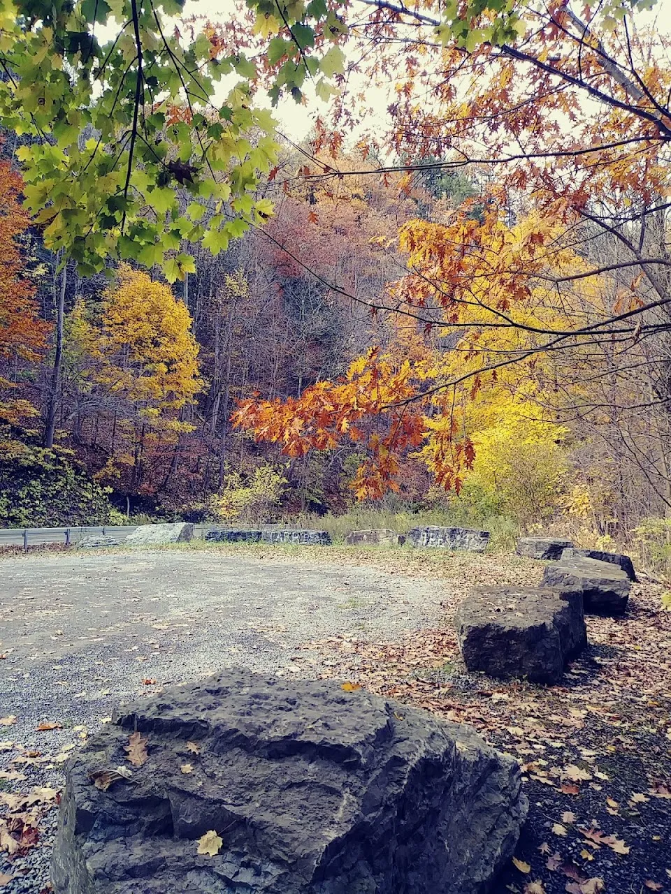 Steele Creek Fishing Access Site NYS DEC