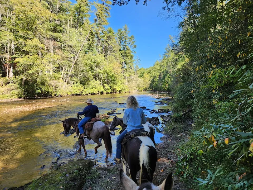 Whetstone Horse Campground