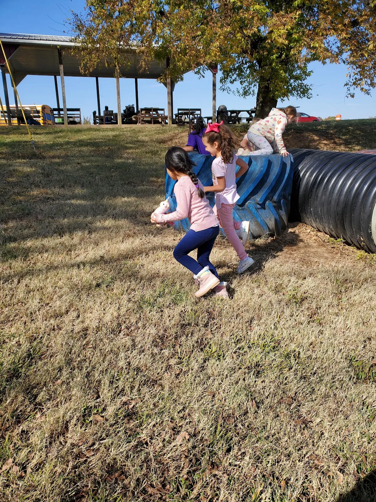 Shade Tree Farm and Orchard