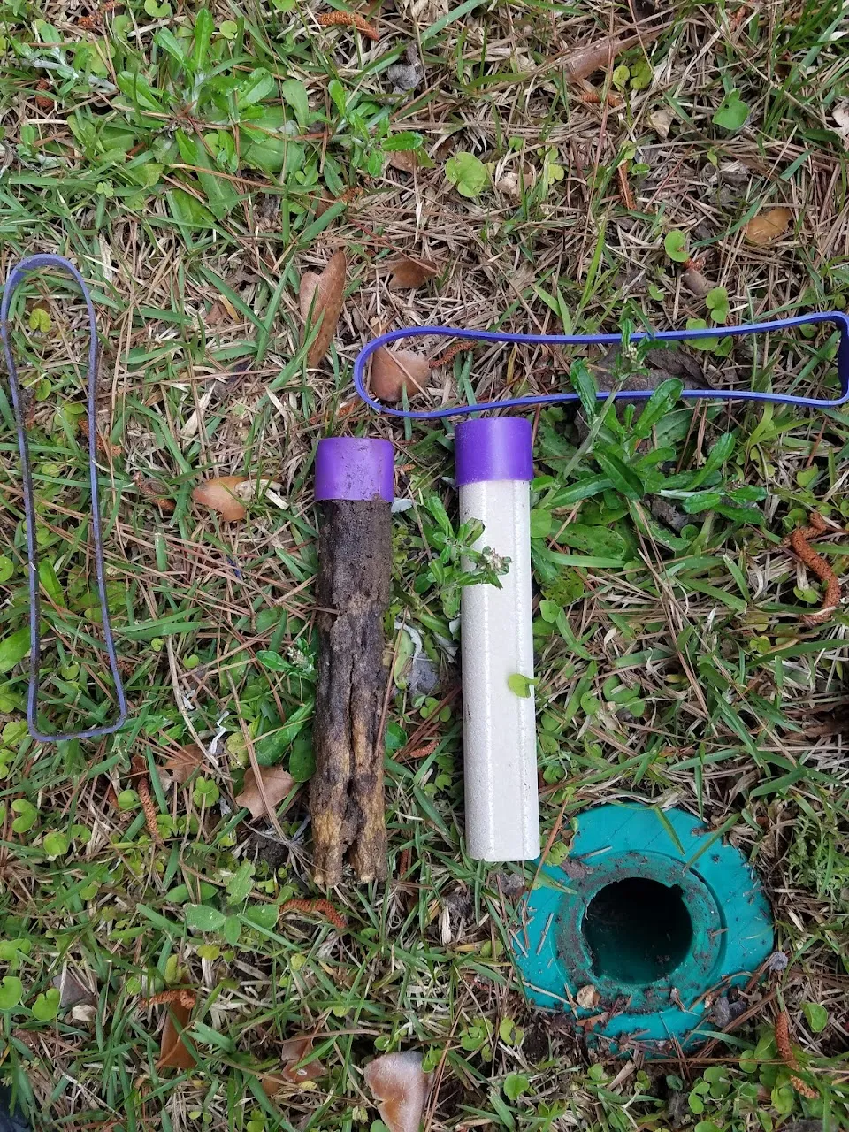 Gressette Pest Management