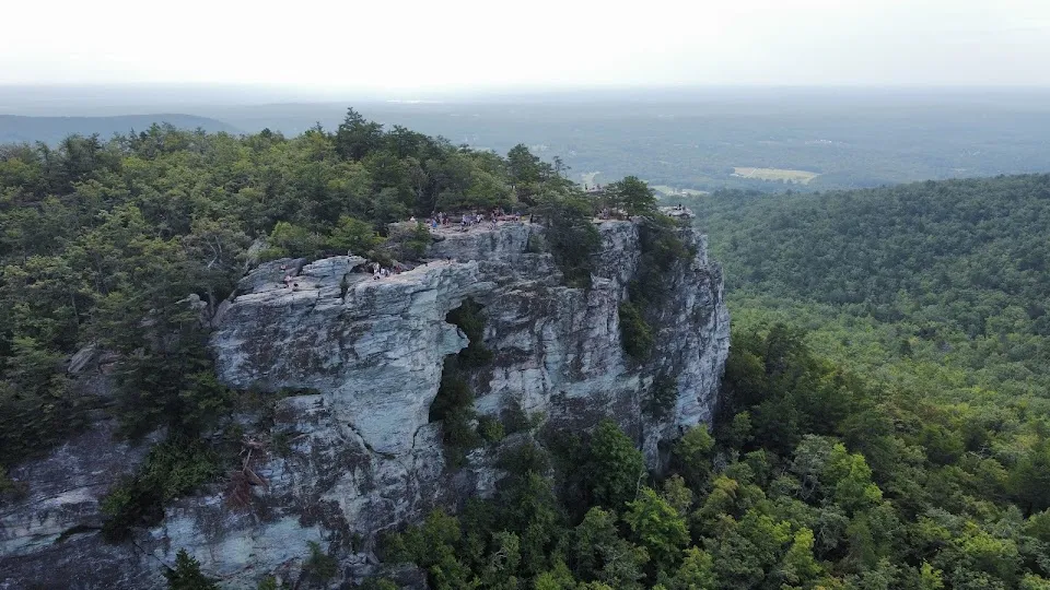 Walnut Cove