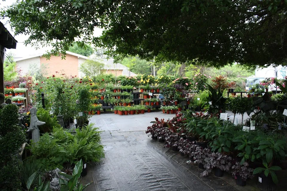 Fancy Plants Inc.