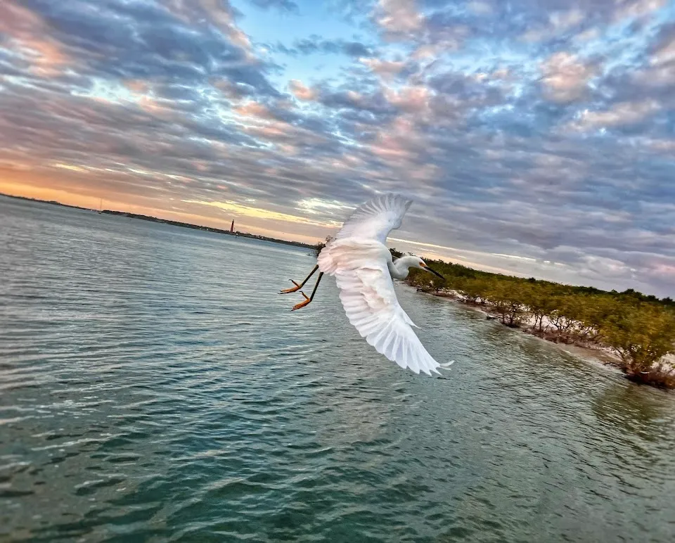 Smyrna Dunes Park Fishing Pier
