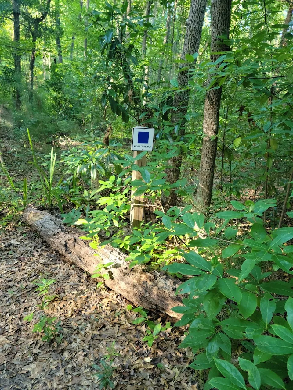 Whitemarsh Preserve
