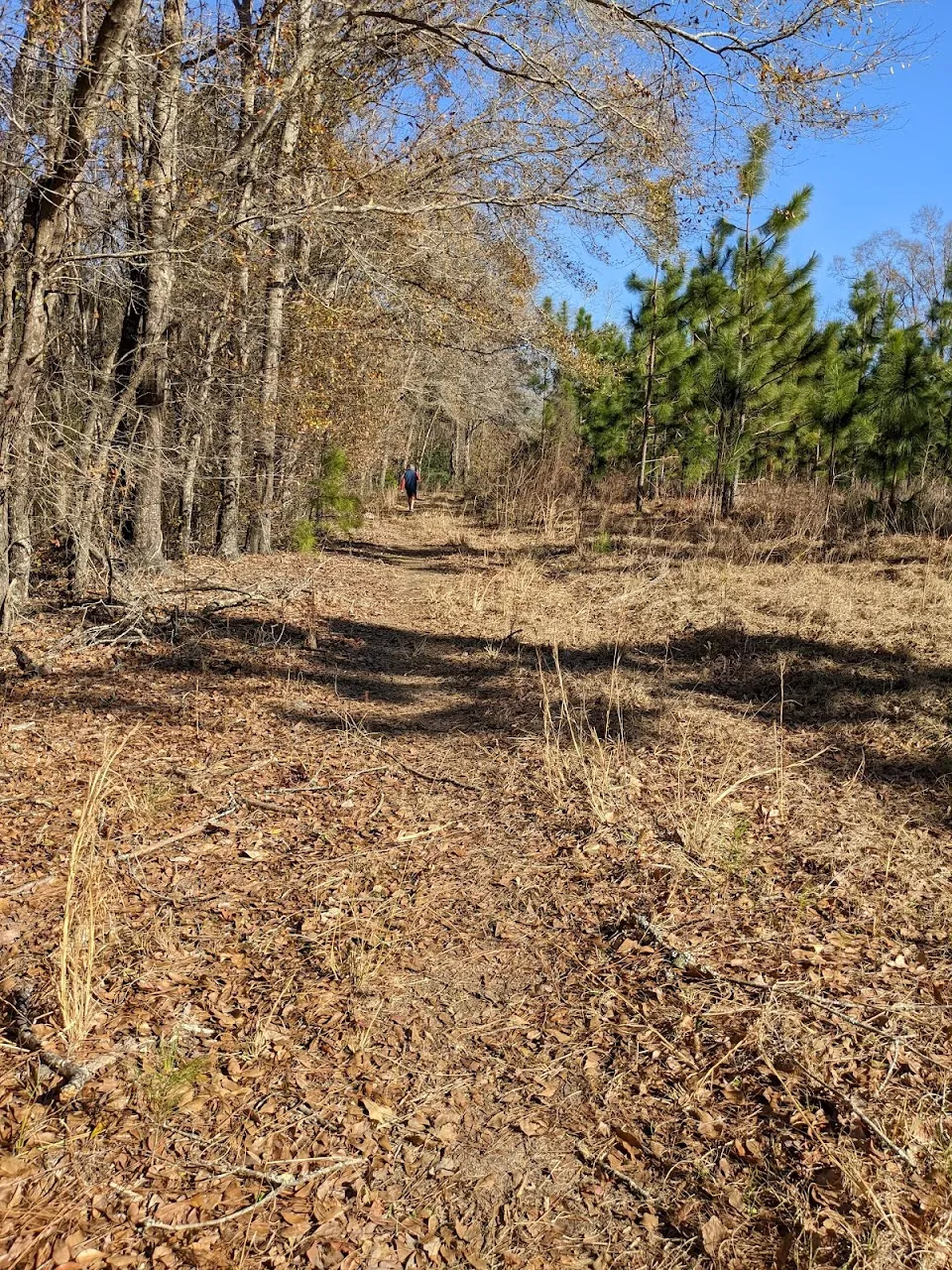 Biggin Creek MTB Trail