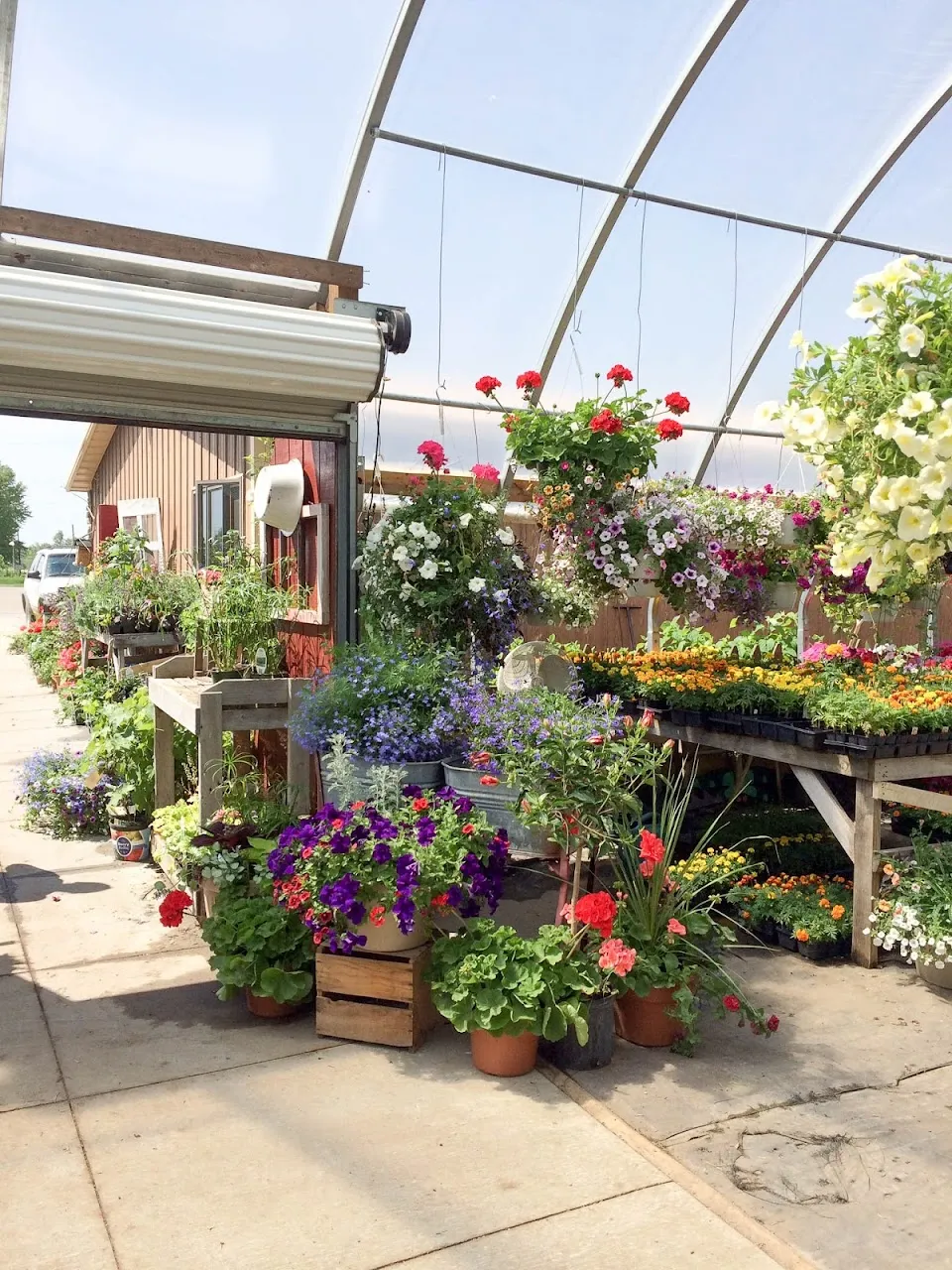 Christie's Potting Shed