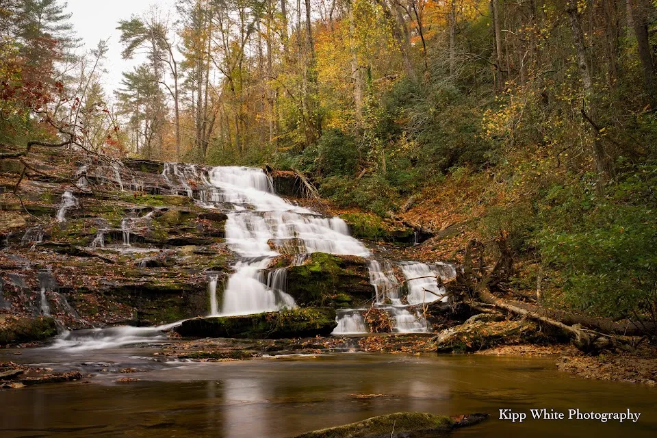 Brasstown Falls Trailhead