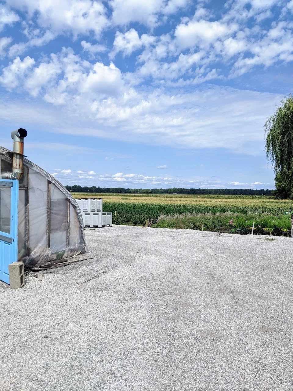 Scheuermann Farms & Greenhouses
