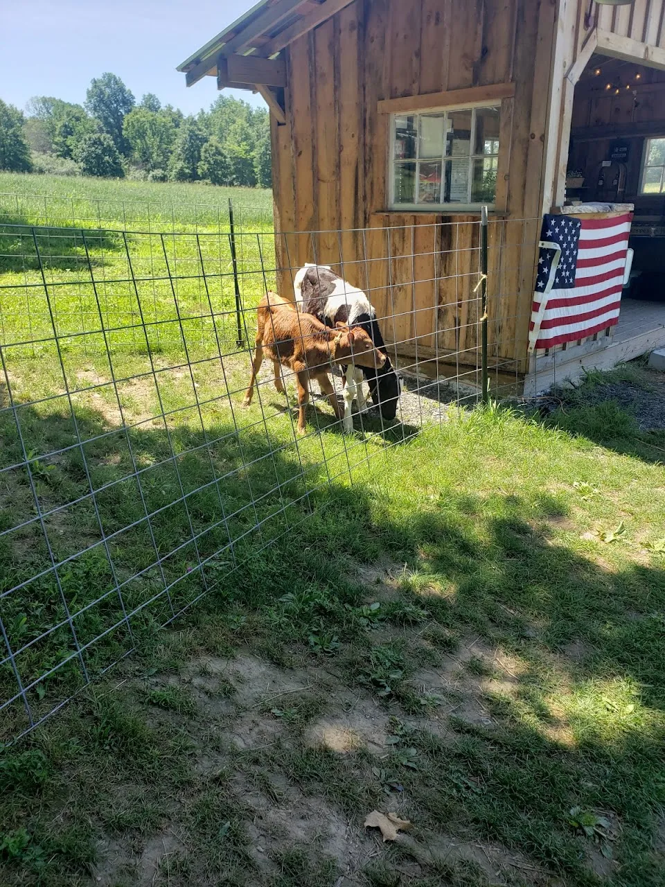Wagon Wheel Farm LLC