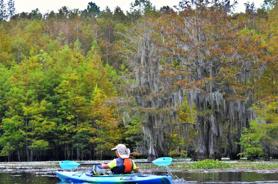 Blueway Adventures, LLC