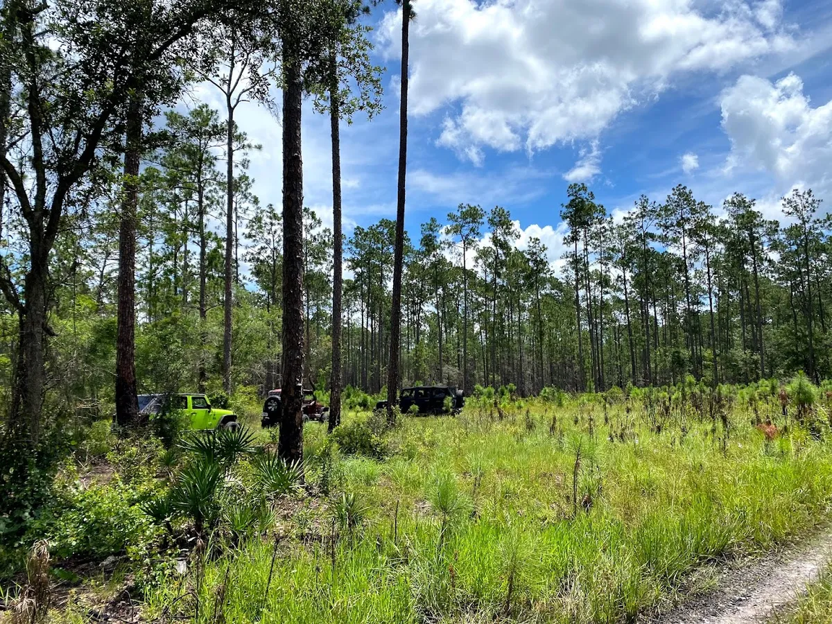 Richloam Wildlife Management Area
