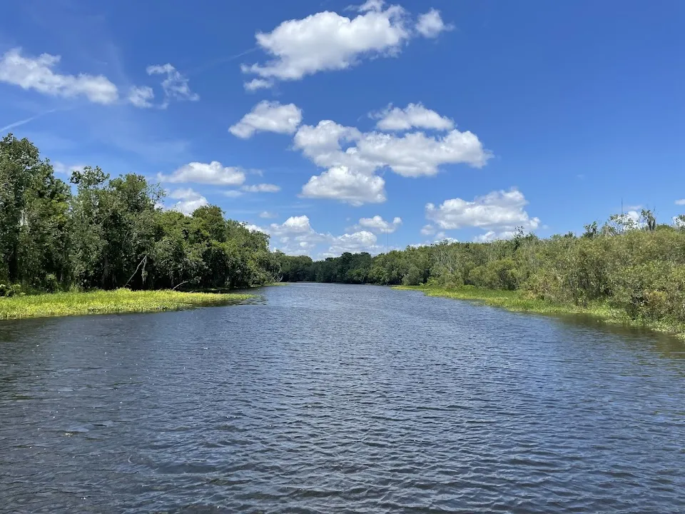 St Johns River Eco Tours