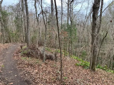 Biggin Creek MTB Trail