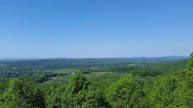 Fuller Mountain Preserve