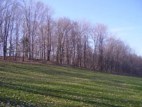 Ilion