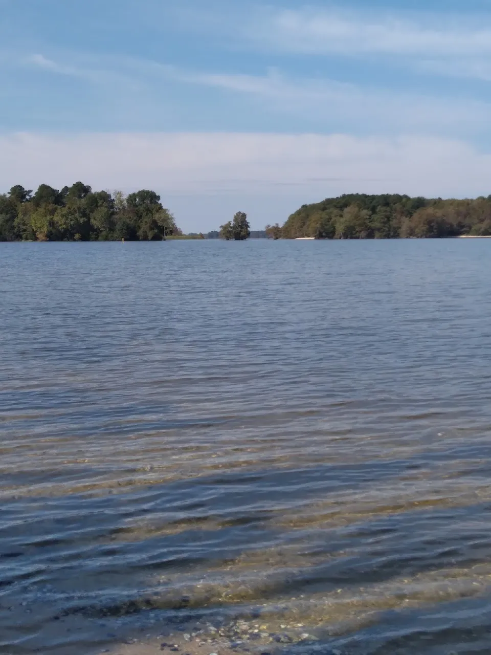 Harry's Fish Camp