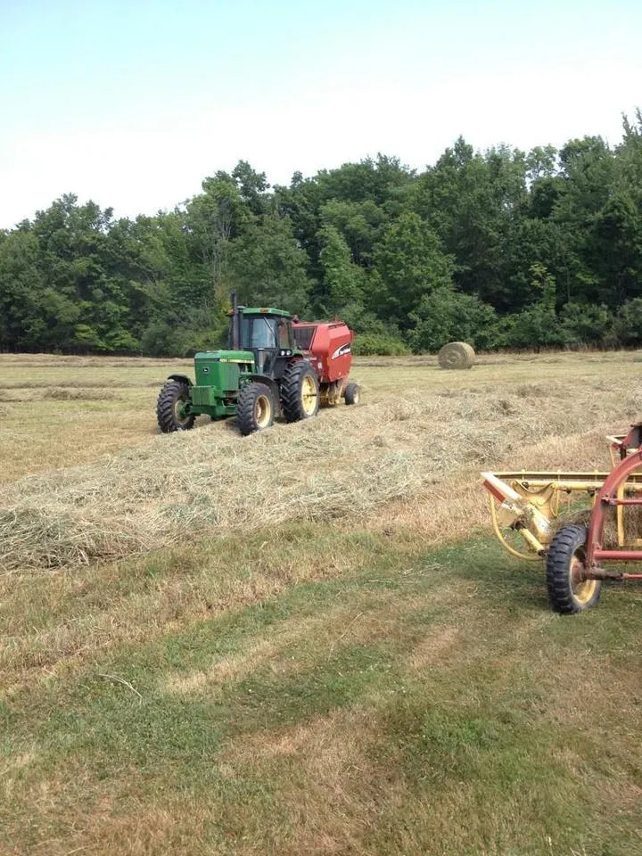 Brookfields Farm Of Goshen