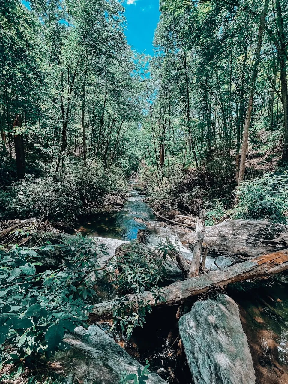 Coleman River Trail