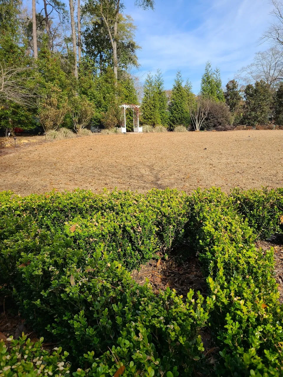Marilyn's Garden