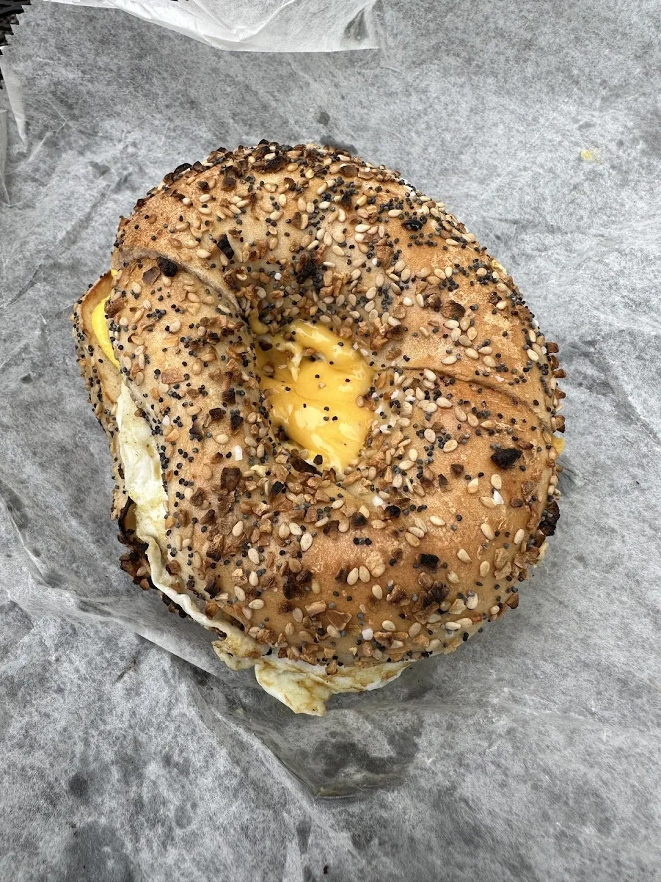 Not Just Bagels