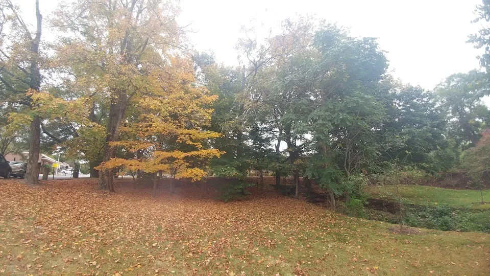 Marcia's Park