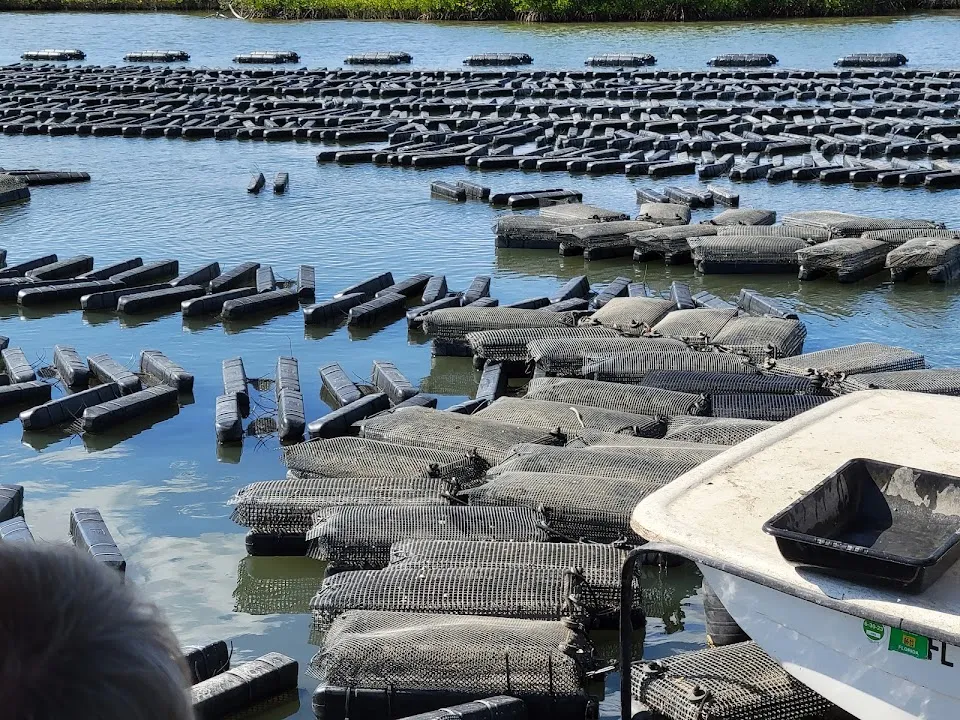 Indian River Oyster Company (IROC Oysters)