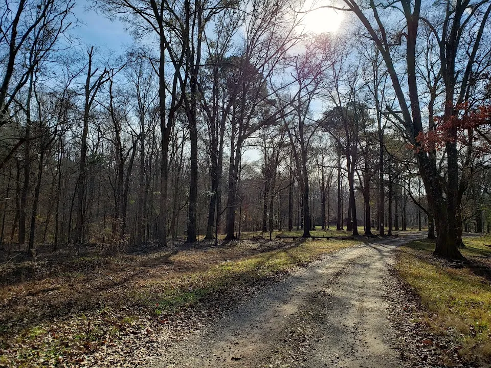 Oconee National Forest