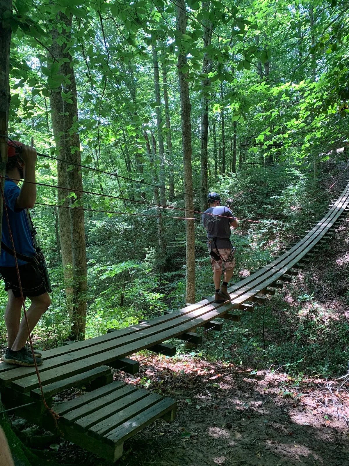 Carolina Ziplines Canopy Tour