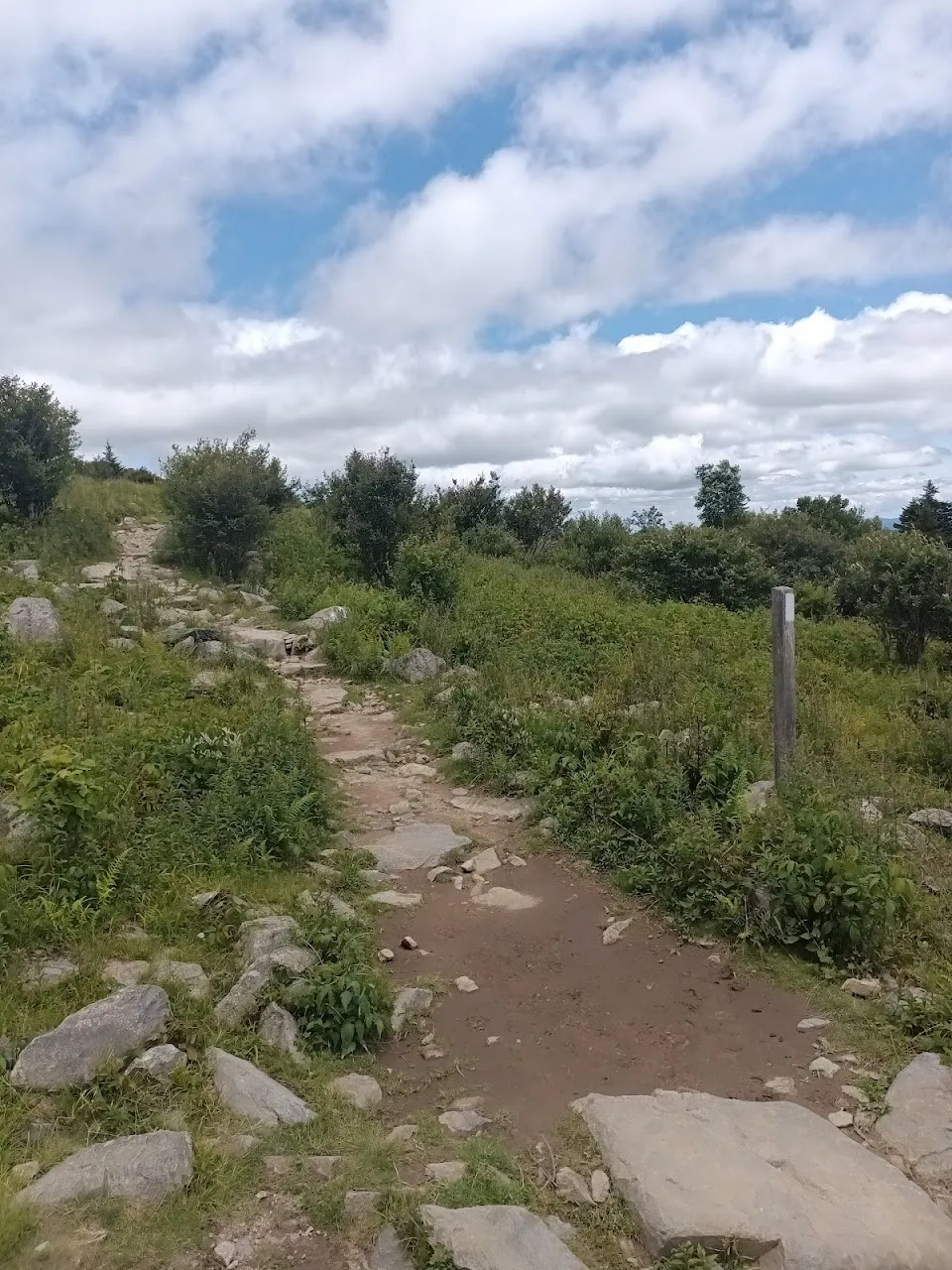 Mount Rogers National Recreation Area