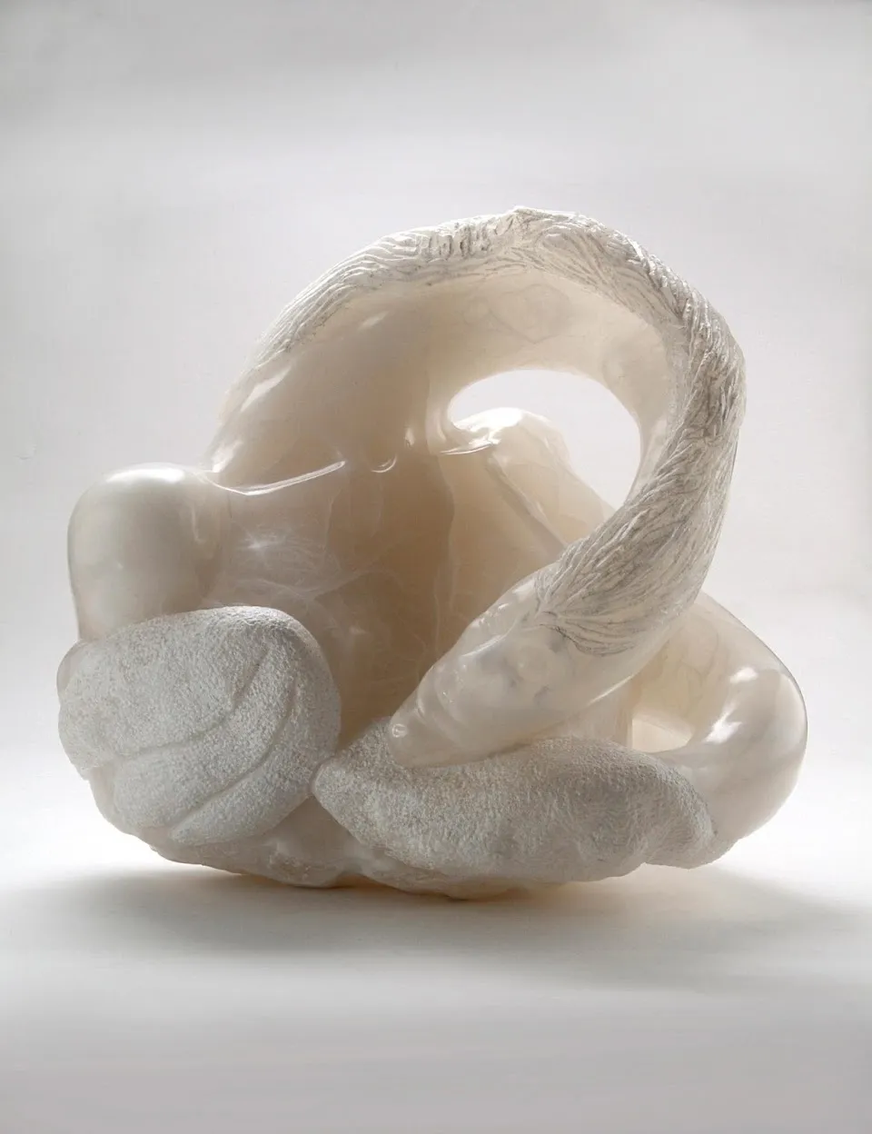 Darcy Meeker fine art