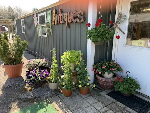 Sassafrass Garden & Gifts