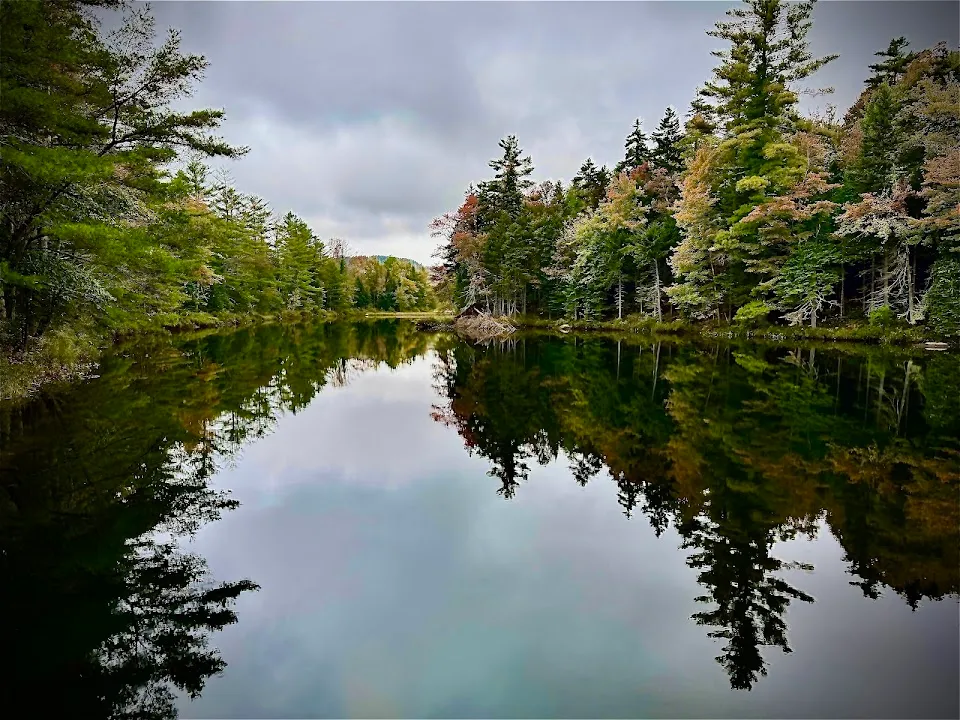 Pillsbury State Park