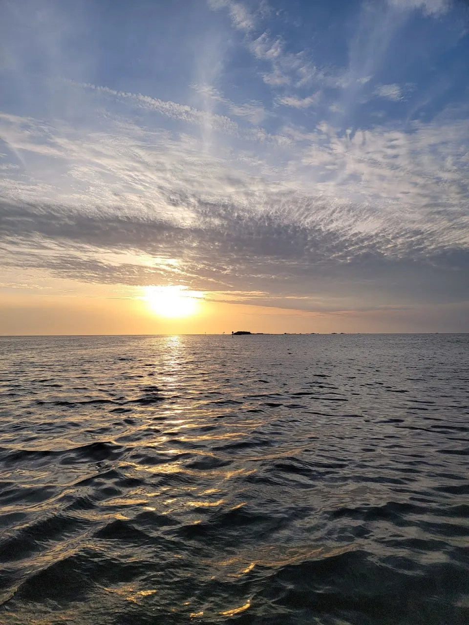 Marina Rose Cruises