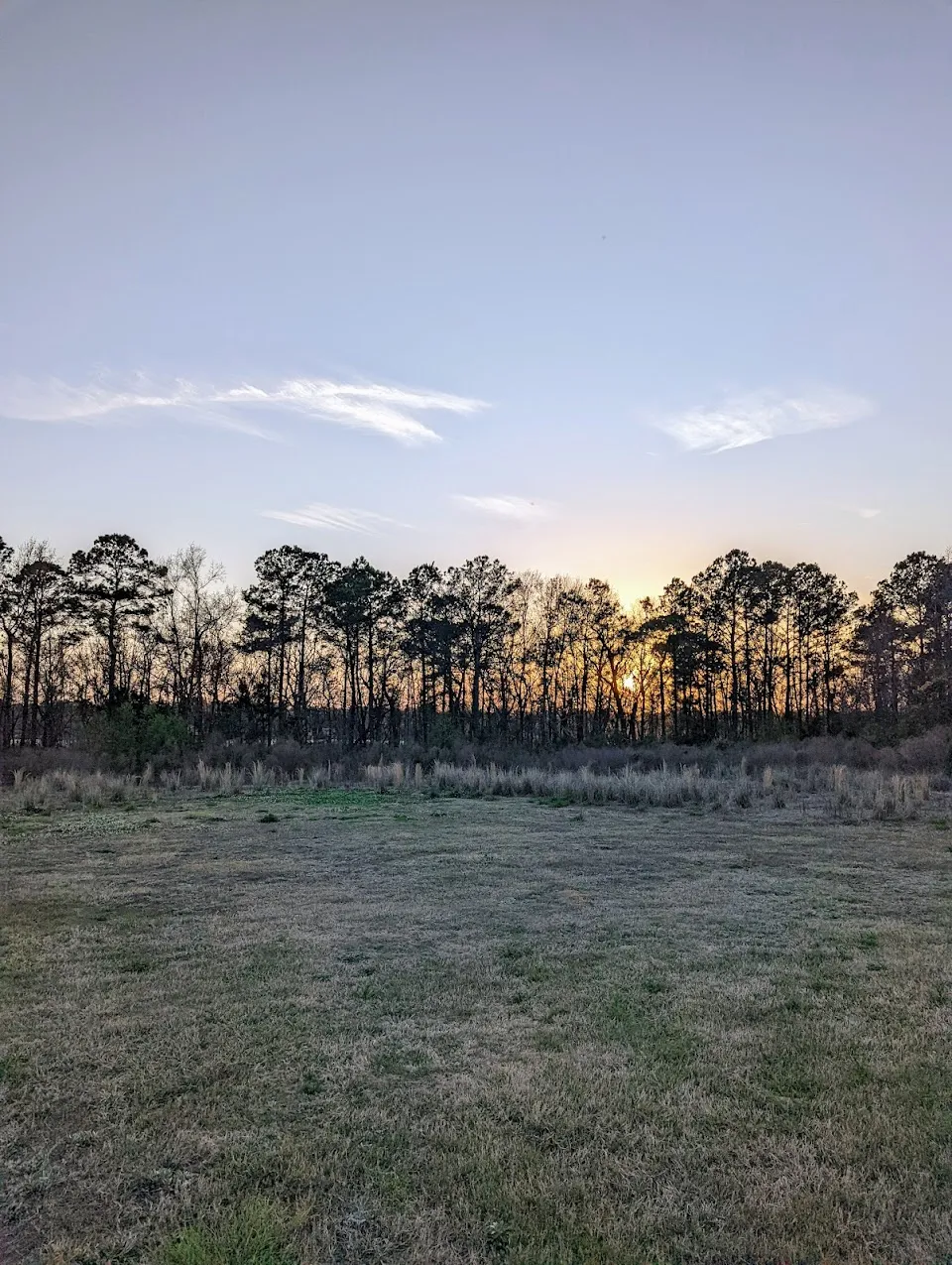 Foster Creek Park