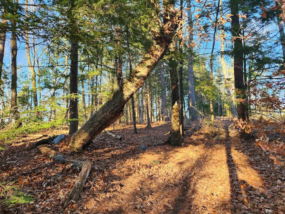 Ceda-T Trail