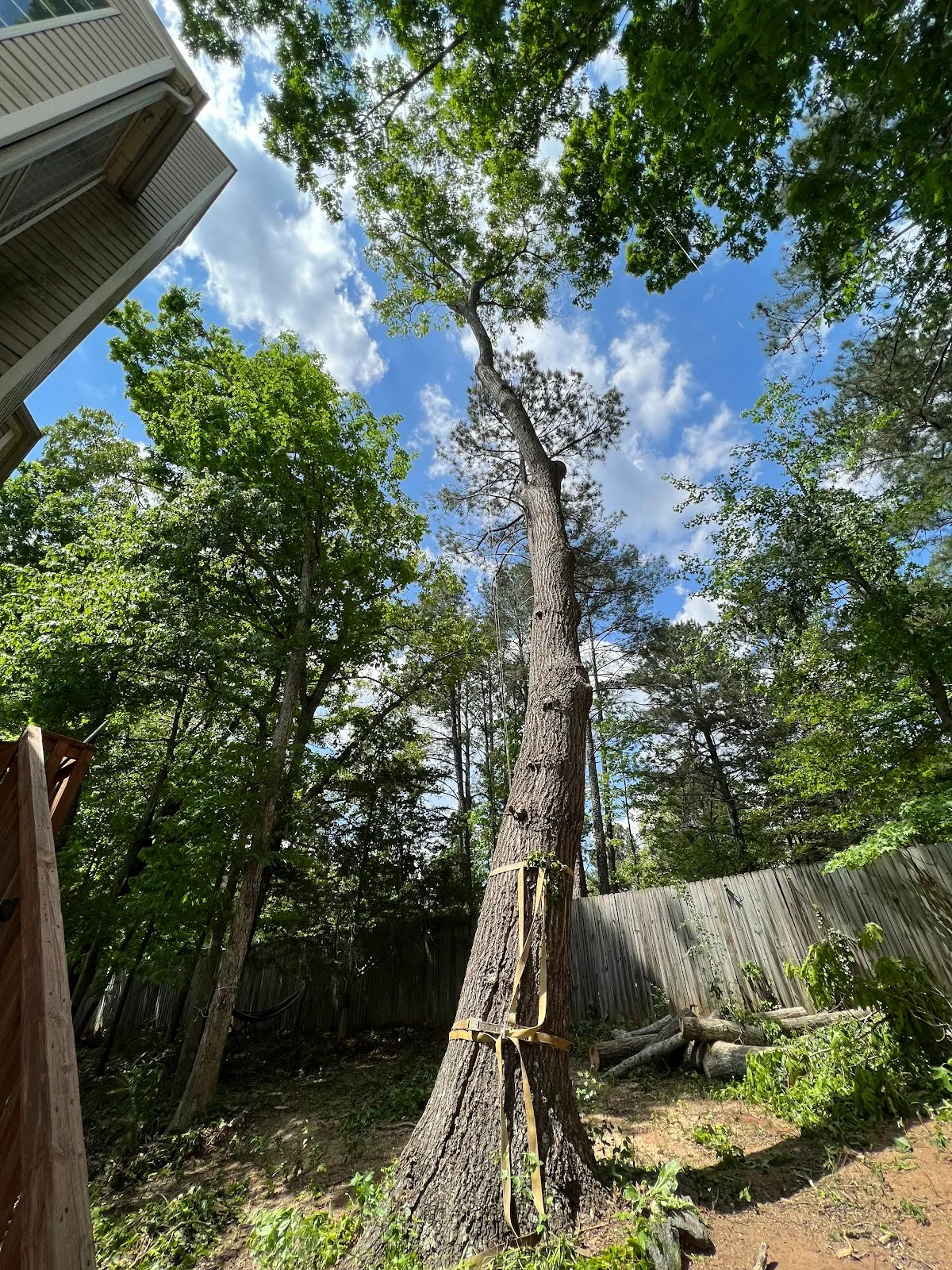 Brooks Tree Co.