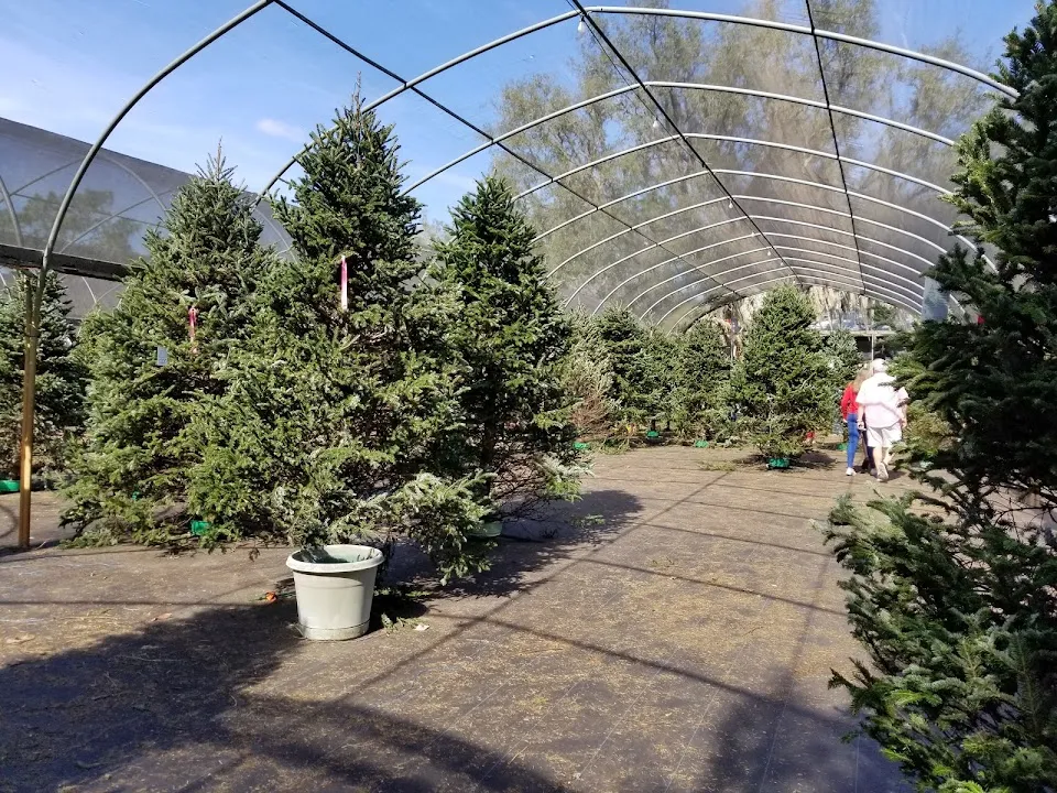 Ergle Christmas Tree Farm