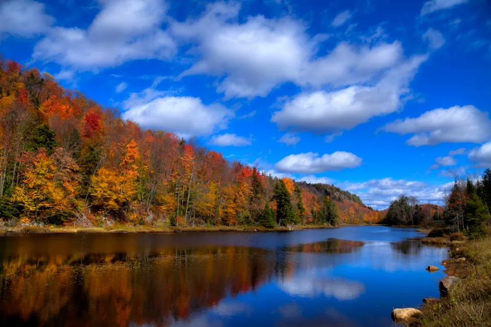 Bald Mountain Pond