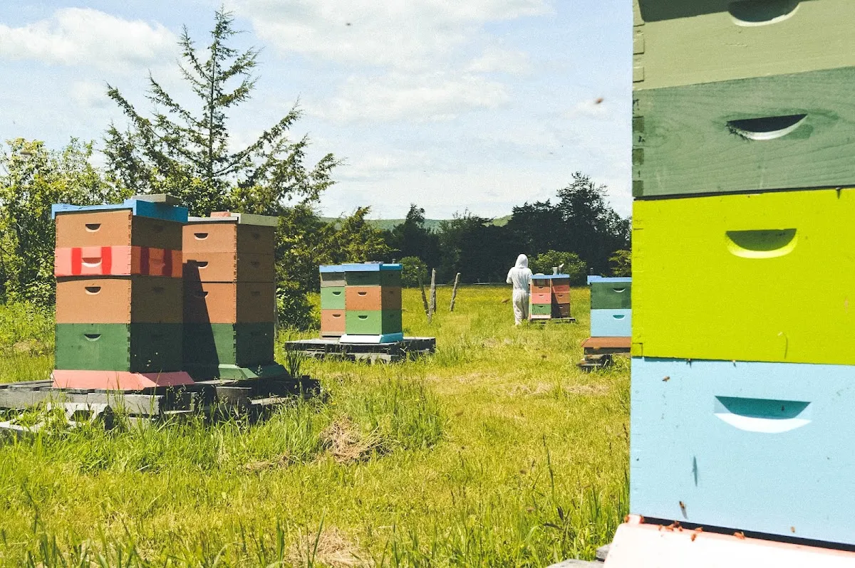 Hop House Farm